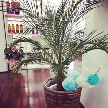 マリノレイ店内