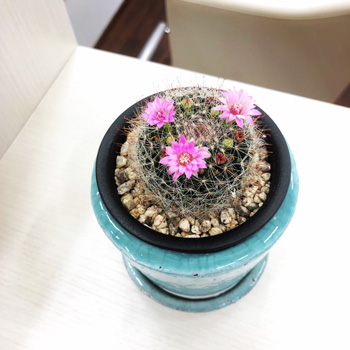 マリノレイ待合